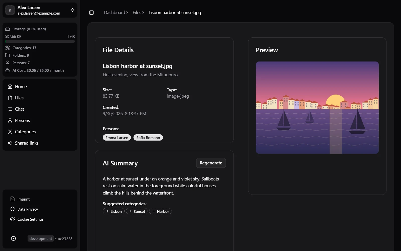 A file with its AI summary and tags